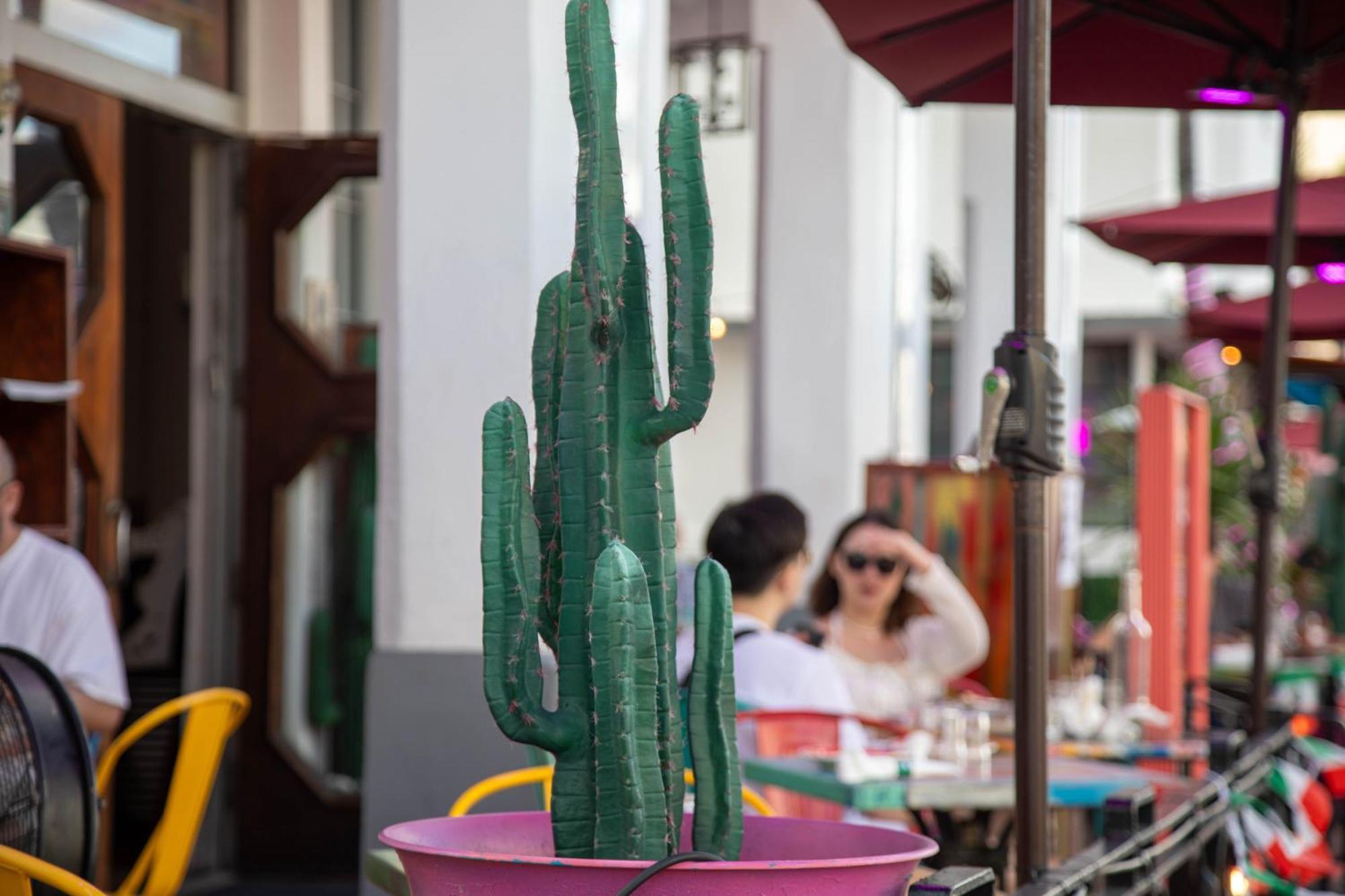 Whitelaw Hotel Miami Beach Exterior photo
